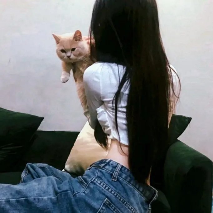 狮蚁